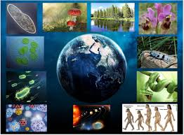 magisternormamartinez.milaulas.com